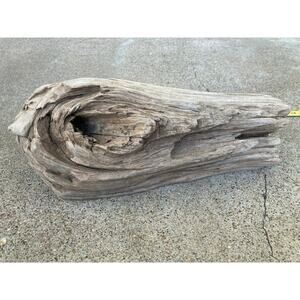 Ohio River Driftwood 13"x4.5"x5.5"